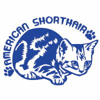 【送料無料】　アメリカンショートヘアーステッカー　アメリカンショートヘアーカッティングステッカー 　1　ネコカッティングシート　猫ステッカー　