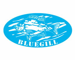 河川名などが入れられるブルーギルステッカー