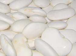 zNzNӂ̔ԓϓύݗɁIyʔN@V10{zkĈuԓ...