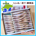 ししゃも メス(天然シシャモ・大) 30尾送料無料 北海道産...