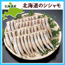 【送料無料】北海道の天然シシャモオス40尾【冷凍便】【お歳暮...