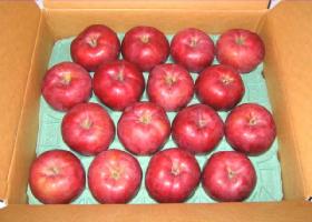 【送料込】10月中旬発送開始！旭（あさひ）　5kg（16玉）やわらかく、さわやかな酸味のリンゴ。芳醇な香りが広がります。