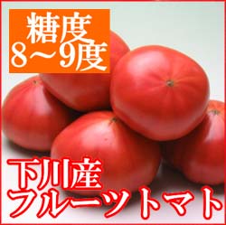 糖度8〜9度！北海道下川のフルーツトマト800g（A品・8〜15玉）【6月下旬発送開始】原産地の気候と合わせた環境で化学肥料を一切使わずに育てたトマト。糖度はなんと8〜9度も！トマトの美味しさたっぷり！