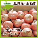 【送料無料】北海道産玉ねぎ(L) 20kg【発送期間 9月上...