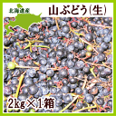 【同梱不可 送料無料】【発送期間 9月下旬〜10月下旬】北海...