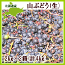 【同梱不可 送料無料】【発送期間 9月下旬〜10月下旬】北海...