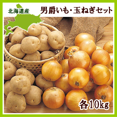 【送料無料】北海道産男爵いも10kg・玉ねぎ10kgセット【発送期間 9月上旬〜3月下旬】【常温便】...:sikikoubou:10002006