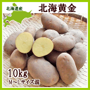 【送料無料】北海道産じゃがいも 北海黄金 10kg(M〜Lサ...