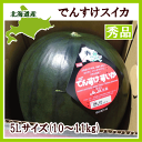 【送料無料】北海道当麻産 でんすけすいか秀品 5Lサイズ 1玉(10〜11kg)【7月上旬発送開始予定】