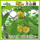 【送料無料】【産直】北海道産さくらんぼ月山錦(秀品・2L) ...