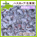 北海道産ハスカップ生果実 1kg【7月上旬発送開始】...