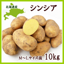 【送料無料・産直同梱不可】北海道産じゃがいもシンシア (M〜...