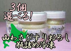 冷凍山わさび　お好きな3個セット【冷凍便】冷凍保存できちゃうワサビ！辛さがたまりませんっ！