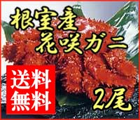 【送料無料】プリンとした身がたまらない！本場・根室の花咲ガニ2尾（1尾450〜500g）（浜ゆで冷凍）【冷凍便】旨みが凝縮したプリップリの身が美味しい！