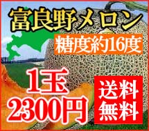 【送料無料！】7月中旬発送開始！ちょっと訳あり富良野メロン　1.5〜1.6kg×1玉【常温便】とろける甘さの富良野メロン。糖度は驚きの約16度！訳あり特価でとってもお得！