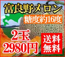 【送料無料】7月中旬発送開始！ちょっと訳あり富良野メロン　1.3kg×2玉【常温便】とろける甘さの富良野メロン。糖度は驚きの約16度！訳あり特価でとってもお得！