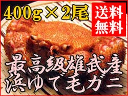 【送料無料】雄武産毛ガニ400g前後×2尾【冷凍便】【お中元】身がぎっしり！カニみそもたっぷり！