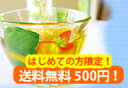 【送料無料】500円ぽっきり!<<初めての方限定>>水出しティーバッグお試しセット♪