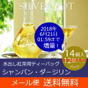 【メール便選択で送料無料】季節限定!水出し紅茶用ティーバッグ...