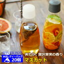 水出し紅茶用ティーバッグ お徳用パック 2.5g×20TB入り マスカット / フレーバーティー
