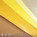 合皮生地 キャリー 合皮(700〜725)(白は700です)(0005)【メール便不可】|無地 イエロー 合成皮革 おしゃれ かわいい 布 手芸 布地 合成レザー 手作り バッグ 厚手 かばん カバン 鞄 手芸材料 ハンドメイド材料