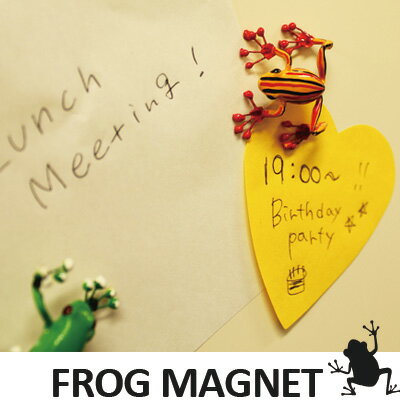 FROG MAGNET(フロッグマグネット)/カエルの形のマグネット★おもしろ雑貨/おもしろグッズ 輸入雑貨 腕時計とおもしろ雑貨のシンシア