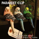 PARAKEET CLIPpL[g Nbv Nbvz_[@@CR rvƂG݂̃VVA v[g Mtg yyΉz