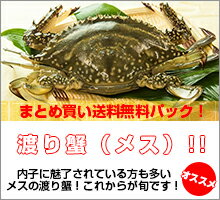 ワタリガニメス超新鮮！獲れたての活き締めメスワタリガニ 約2kg（200g〜400gサイズが5〜10尾入り）まとめ買い【送料無料】