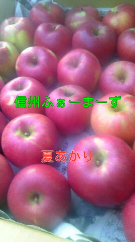 【りんご】【送料無料】【訳あり】新品種！夏あかり、つがる、蜜入りサンふじ・あいかの香り・シナノゴールド等、各5キロ家庭用