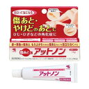 【小林製薬】皮膚薬 アットノン 15g 【第2類医薬品】