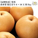 【送料無料】【長野県産】特秀 南水梨 陽だまり 6~16玉 約5kg(北海道沖縄別途送料加算)光センサー選別/高糖度保障/ナシ/訳有/訳あり/訳アリ/ワケあり/赤梨/和梨/コンポート/ジャム/ゼリー/ジュース/スムージー/秋のご当地特集/秋の味覚/贈り物/敬老の日/家庭用