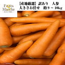 【送料無料】【産地厳選】訳あり 人参 大きさお任せ 約9〜1...