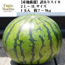 【送料無料】【産地厳選】訳あり　スイカ　2L〜3Lサイズ　1玉入　約7〜9kg(北海道沖縄別途送料加算)