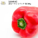 【送料別】【高知県産】赤ピーマン 1パック 約500g【野菜詰め合わせセットと同梱で送料無料】