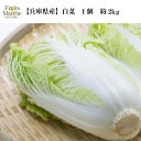 【送料別】【兵庫県産】白菜 1個 約2kg 【野菜詰め合わせセットと同梱で送料無料】