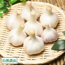 バラ詰め乾燥にんにく M〜Lサイズ 1kg(福岡県 たなかふぁーむ)無農薬野菜・送料無料・産地直送