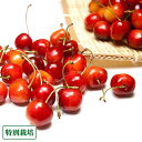 「お中元対応」「予約商品」さくらんぼ 紅秀峰 500g(山形県 森谷農園)特別栽培 減農薬・低農薬・送料無料・産地直送・ギフト・贈答用