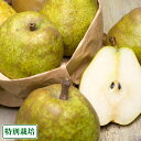 ラ・フランス 家庭用 約5kg(S〜Mサイズ)(山形県産 ふるさと21おすすめ)ラフランス特別栽培 減農薬 洋梨 低農薬 送料無料 産地直送 ランキングお取り寄せ