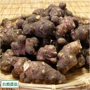 紫菊芋(土付き) 2kg (北海道 HJYさくら農場 食彩北...