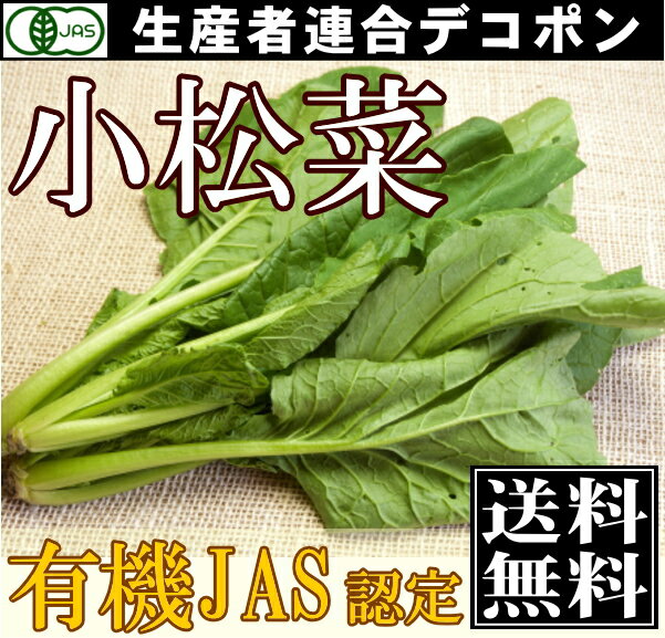 [クール便無料]有機JAS　小松菜　1kg(200g×5袋)(千葉県　生産者連合デコポン)…...:sizensyoku21:10001726