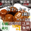 昔ながらの梅干しセット4種B 120g×4パック(群馬県 ゆあさ農園) 有機栽培 梅 無添加 天然塩 使用 送料無料 産地直送