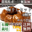 昔ながらの梅干しセット4種C 120g×4パック(群馬県 ゆあさ農園) 有機栽培 梅 無添加 天然塩 使用 送料無料 産地直送