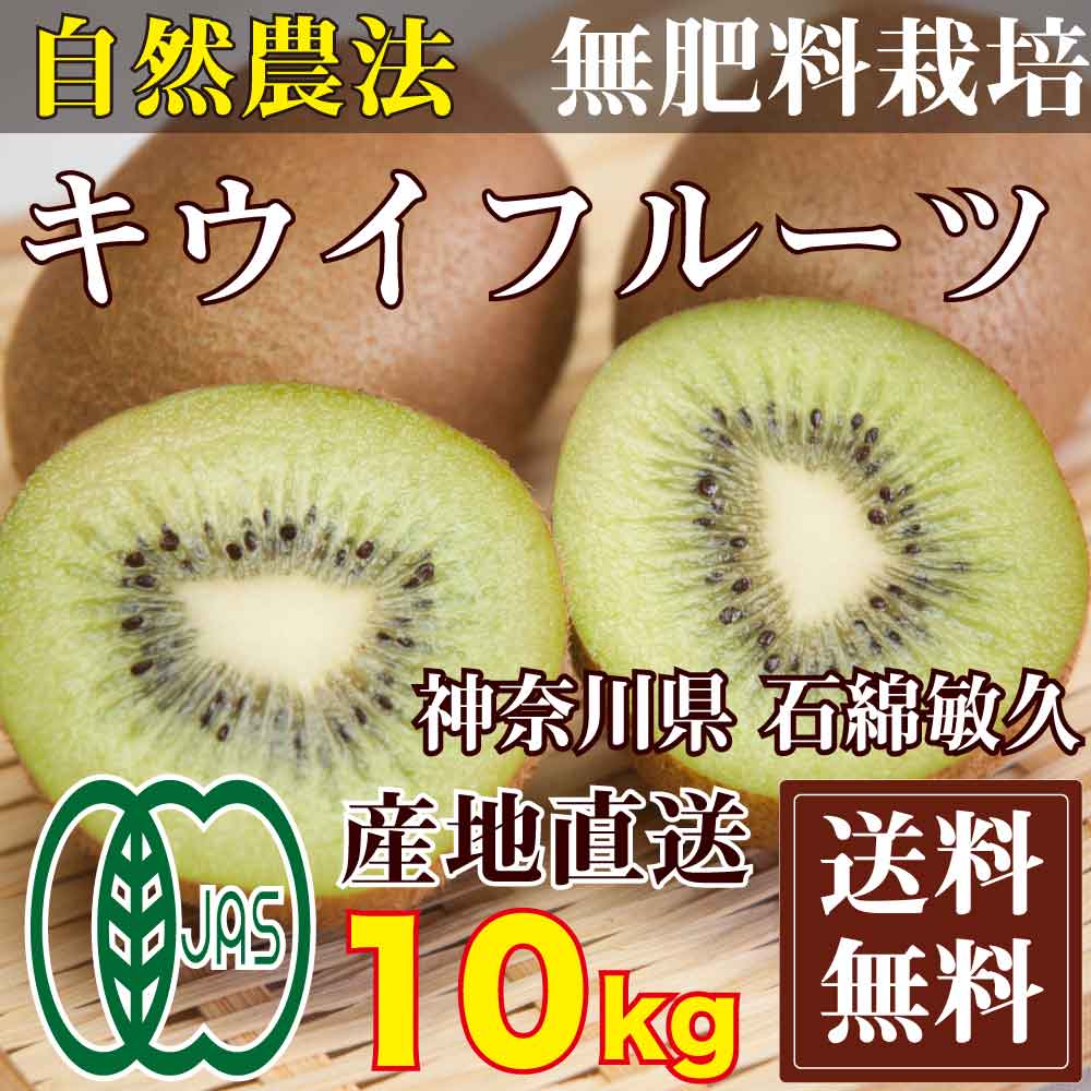 キウイフルーツ 10kg(神奈川県 石綿敏久)有機JAS無農薬・無肥料・送料無料・産地直送・オーガニ...:sizensyoku21:10000315