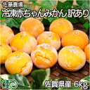 【セール】【クール冷凍便配送】急速冷凍赤ちゃんみかん 訳あり皮割れ 6kg 有機JAS (佐賀県 佐藤農場株式会社) 産地直送