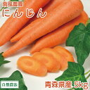自然農法にんじん A・B品混合 5kg(青森県 南風農園) 農薬不使用 送料無料 産地直送 オーガニック ※常温出荷(クール選択可)※