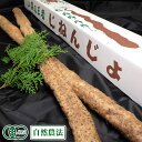 自然薯 『特選』贈答用 約1.5kg(2~3本) 有機JAS・自然農法 (熊本県 那須自然農園) 産地直送