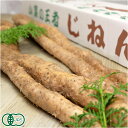 【家庭用】有機 自然薯 約1.2kg×2箱 有機JAS・自然農法 (熊本県 那須自然農園) 産地直送