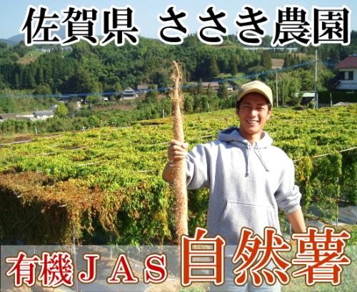 自然薯　家庭用約5kg(5〜12本)(佐賀県　ささき農園)有機JAS無農薬野菜・送料無料・…...:sizensyoku21:10000607