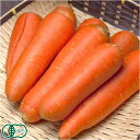 【B品】有機JASにんじん 10kg (ふるさと21) 産地直送