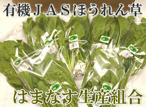 ほうれん草　20袋(約3kg)(青森県　はまなす生産組合)有機JAS無農薬野菜・送料無料・…...:sizensyoku21:10002179
